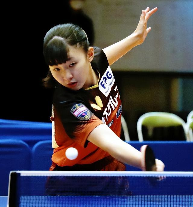 西班牙人目 西班牙人目