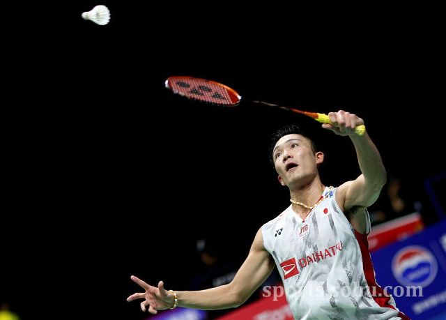 年来的成长 年来的成长