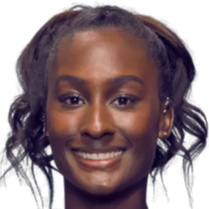 更多样化的 更多样化的