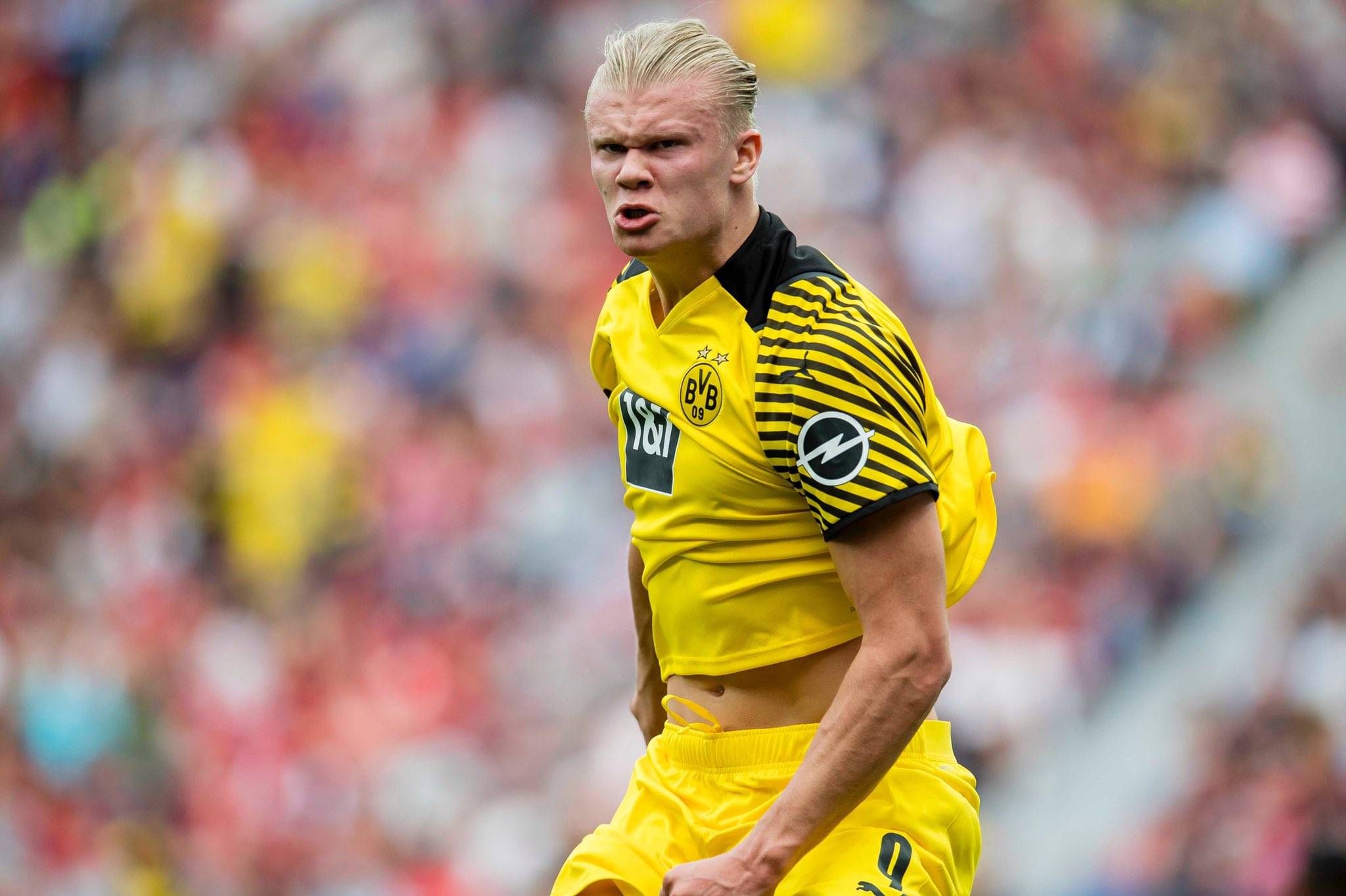 造伸缩的好 造伸缩的好